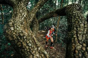 BIB: 
                            <button type="button" onclick="openModal(25392620)" class="btn btn-primary btn-sm float-right btn-popup" data-toggle="modal" data-target=".modal-high-quality">
                        <i class="fas fa-shopping-cart"></i> Add to Cart
                    </button>
                                            <button type="button" onclick="isThisMe(25392620, true)" class="btn btn-success btn-sm float-right btn-popup btn-isme hidden" data-toggle="tooltip" data-placement="bottom" title="นี่คือรูปของคุณใช่ไหม คลิกที่นี่เพื่อเอาเข้าอัลบั้ม">
                        <i class="fas fa-plus"></i> Add to album
                    </button>
                    <button type="button" onclick="isThisMe(25392620, false)" class="btn btn-warning btn-sm float-right btn-popup btn-isnotme hidden">
                        <i class="fas fa-ban"></i> Remove from album
                    </button>